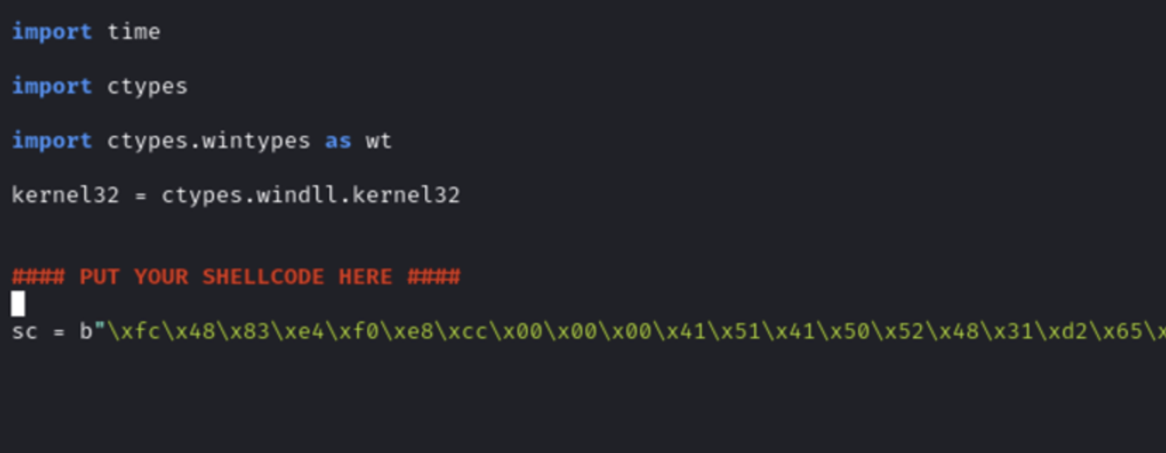 Text editor showing shellcode embedded in shellcode.py