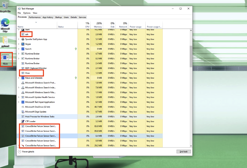 Terminal showing the Go SSH binary launched on the target