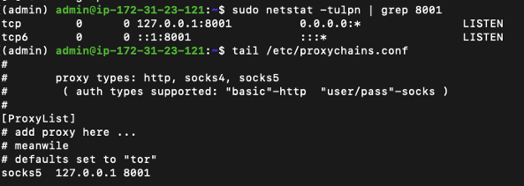 Terminal showing open port and proxychains configuration